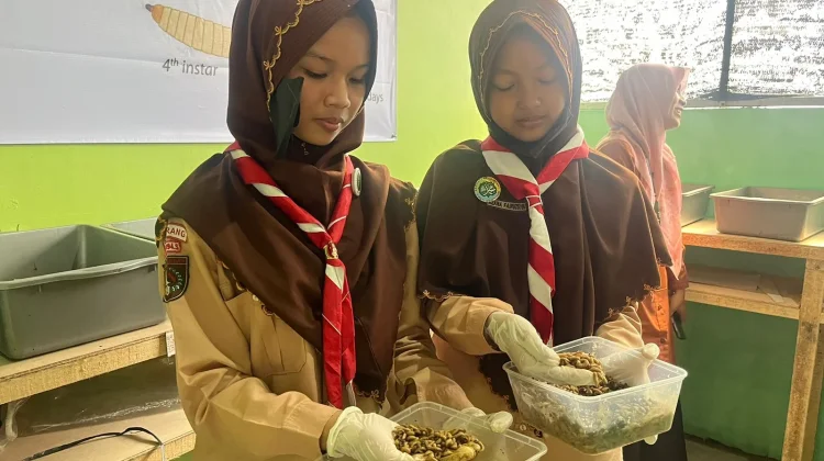 Inovasi MTsN Semarang, Kumpulkan Sisa Sampah MBG untuk Budidaya Maggot