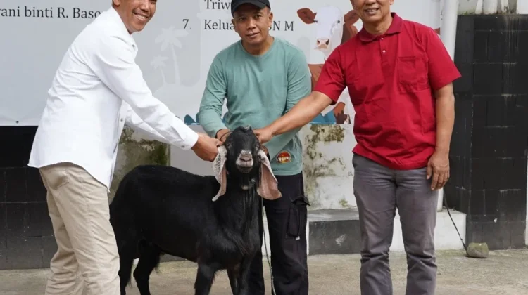 Kurban Bersama di Pemkot Salatiga, Ratusan PPPK Paruh Waktu Jadi Penerima Manfaat