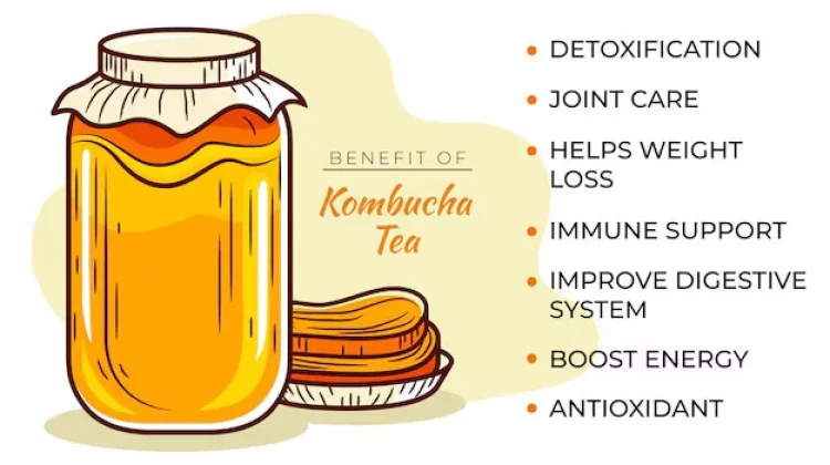 Apa itu Teh Kombucha?
