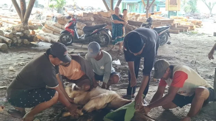 Perhutani Purwodadi Bagikan Daging Kurban untuk Masyarakat Sekitar Hutan
