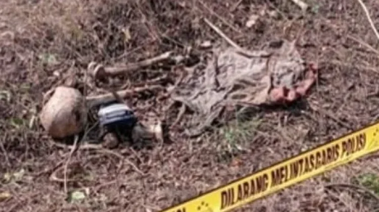 Penemuan Tengkorak di Hutan Sukorejo Gegerkan Warga