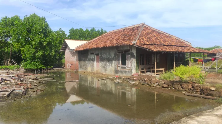 Ratusan Rumah dan Puluhan Hektar Lahan di Dusun Pilangsari Kendal Terdampak Rob