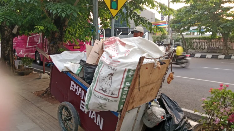 Bank Sampah Berkembang, Pendapatan Pengepul Barang Bekas Menurun