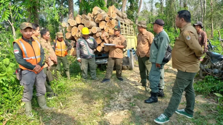 Terapkan Zero Fraud, Perhutani Purwodadi Perketat Pengawasan Produksi Kayu