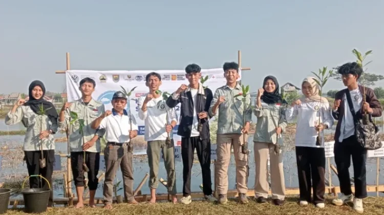 Tanam Mangrove, Upaya Undip Batang Lindungi Kawasan Pesisir Denasri Kulon