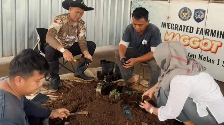 Lapas Semarang Kembangkan Ratusan Bibit Sayuran dan Hortikultura