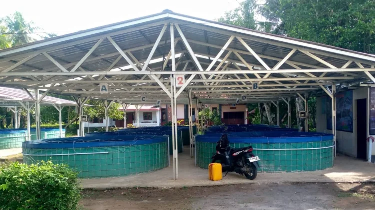 Purworejo Kembangkan Budidaya Bioflok, Panen Lele Capai 4 Ton per Siklus