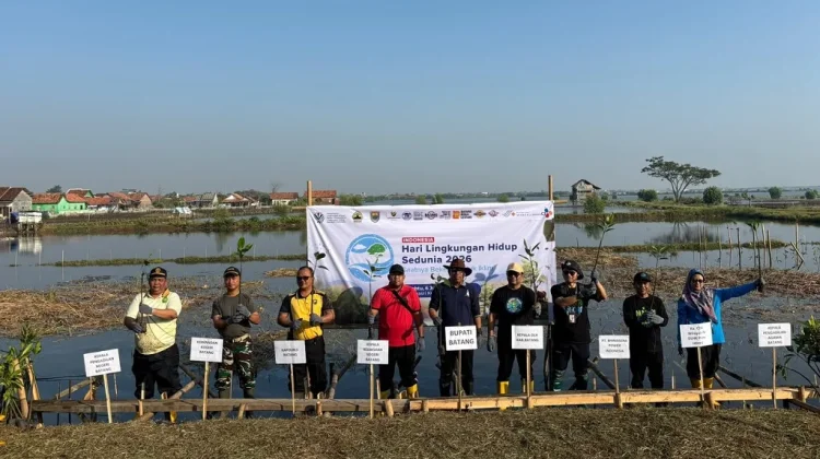 Hari Lingkungan Hidup Sedunia, BPI Siapkan Puluhan Ribu Bibit Mangrove