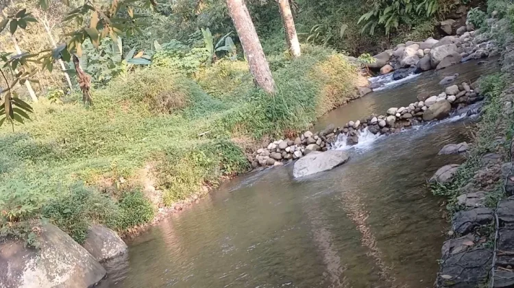 Sungai Jernih hingga Sawah Hijau, Desa Pakis Jadi Pilihan Wisata Alam di Kendal