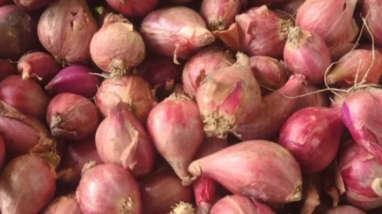 Cara Menyimpan Bawang Merah agar Tidak Cepat Busuk