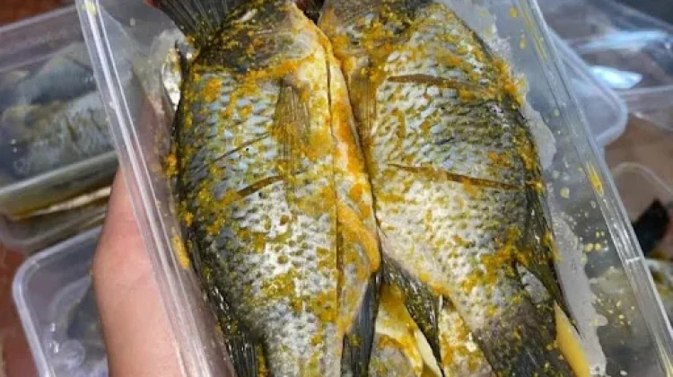 Bumbu Marinasi untuk Ikan Mujahir agar Lebih Gurih