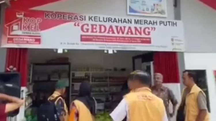 Koperasi Merah Putih Gedawang Terus Berkembang di Tengah Keterbatasan Modal