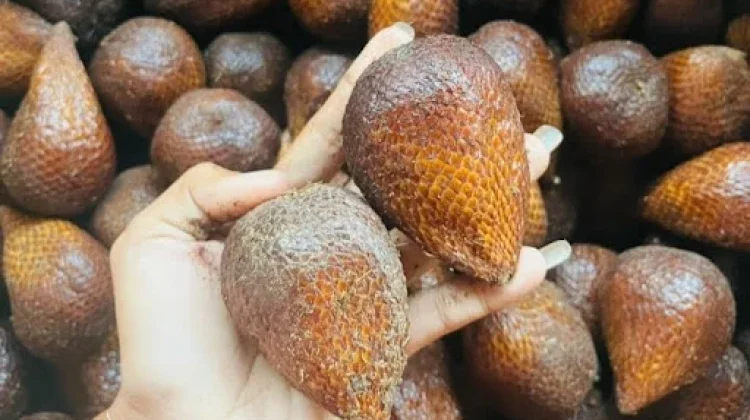 Tips Mengupas Buah Salak dengan Aman dan Cepat