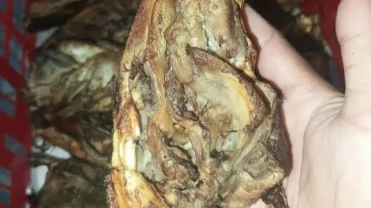 Cara Memasak Kepala Manyung Asap agar Dagingnya Empuk