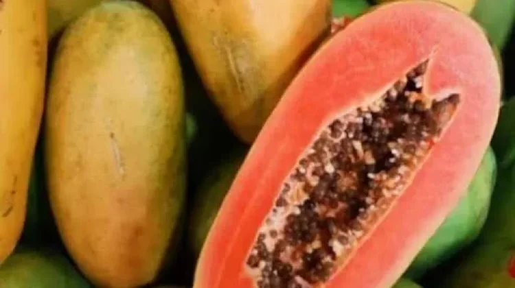 Kesalahan yang Sering Dilakukan saat Menyimpan Pepaya California