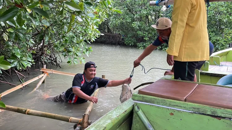 Kelompok Petani Desa Pidodo Kulon dan Tim Unnes Kembangkan Budidaya Kerang Hijau