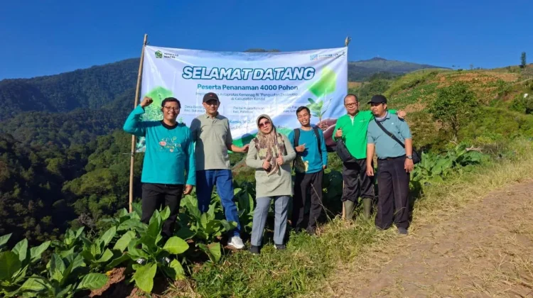 Kemenag Kendal Tanam 4.000 Pohon Produktif, Dorong Ekonomi dan Kelestarian Alam