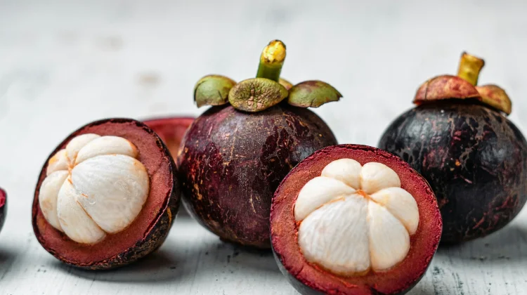 Manggis “Ratu Buah” Tropis Asli Indonesia