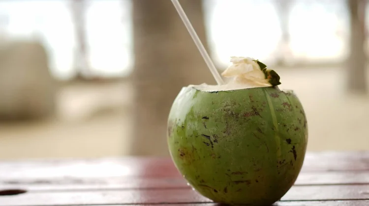 Air Kelapa, Sumber Isotonik Alami Pengganti Cairan Tubuh