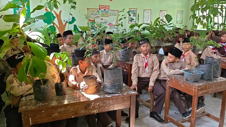 Aksi Hijau, Cara Siswa MIS Ngalian Rayakan Kelulusan Sekolah