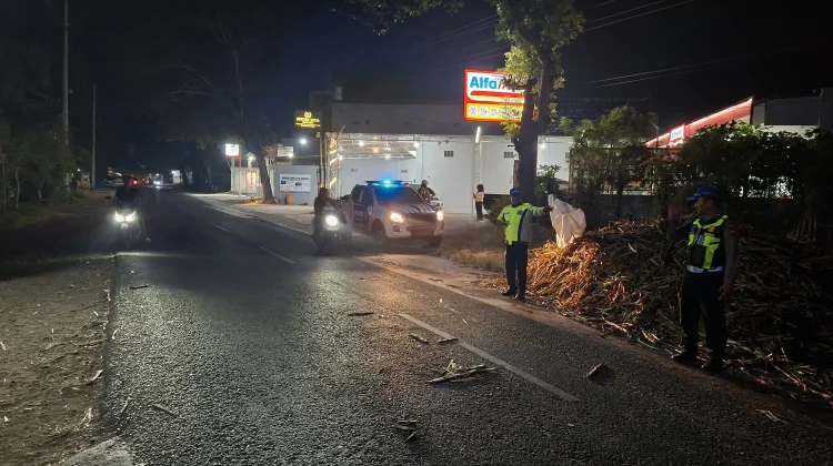 Truk Terguling Tewaskan 2 Pengendara