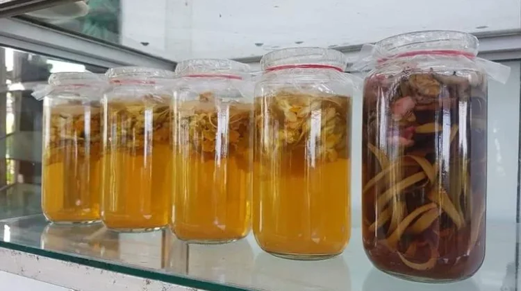 Pengamat Lingkungan: Eco Enzyme Efektif Kurangi Polutan Drainase