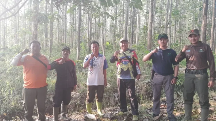 Antisipasi Karhutla dan Pencurian Kayu, Perhutani Intensifkan Patroli Hutan