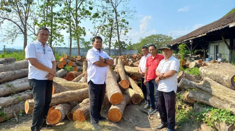 Optimalkan Penjualan Kayu, Perhutani Purwodadi Gandeng Mitra Industri