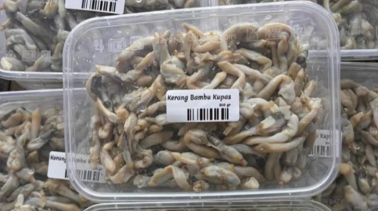 Aneka Bumbu yang Cocok dengan Kerang Bambu Kupas