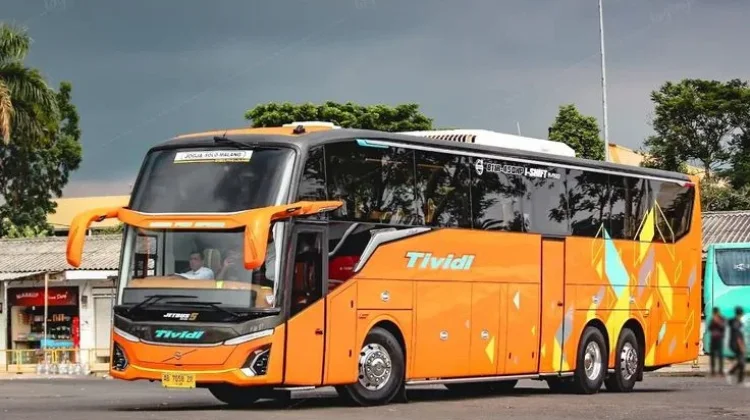 Tips Cerdas Sewa Bus Wisata Sekolah, Liburan Seru, Rombongan Aman dan Tenang