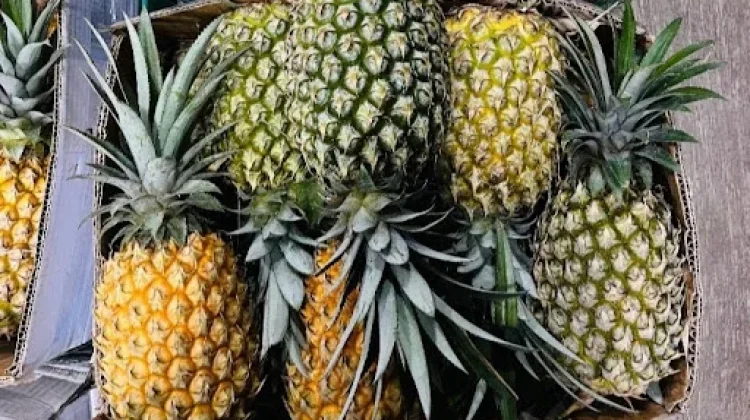 Tips Memilih Buah Nanas Madu yang Manis Segar