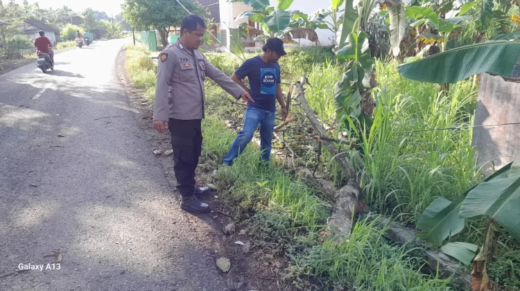 Berangkat Kerja, Buruh Pabrik di Rembang Tewas Tertimpa Dahan Pohon