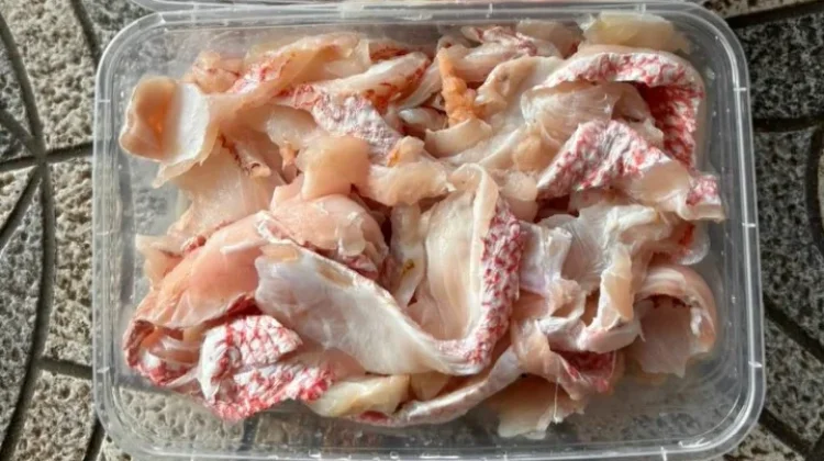 Cara Mengetahui Fillet Kakap Merah yang Masih Segar