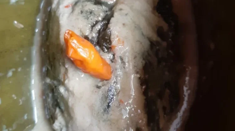 Resep Buntil Irisan Tongkol yang Menggugah Selera