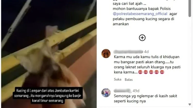 Polisi Dalami Kasus Video Viral Pembuangan Kucing di Jembatan Kartini