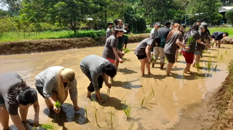 Libur Sekolah, Desa Wisata Kandri Tawarkan Pengalaman Bertani hingga Main Egrang