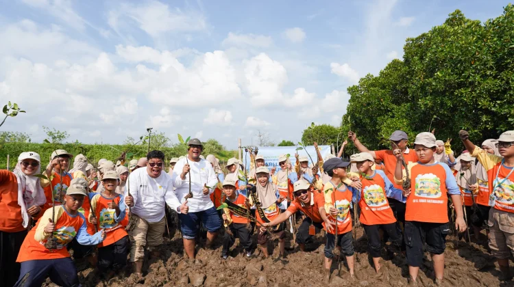 PLN Icon Plus Dorong Pelestarian Pesisir melalui Program Satu Mangrove