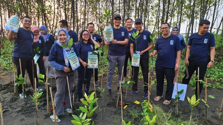 Employee Volunteering, BPJSTK Semarang Pemuda Tanam Mangrove di Pantai Tirang