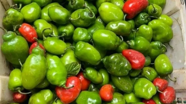 Peluang Bisnis Sambal Cabe Gendot yang Menjanjikan