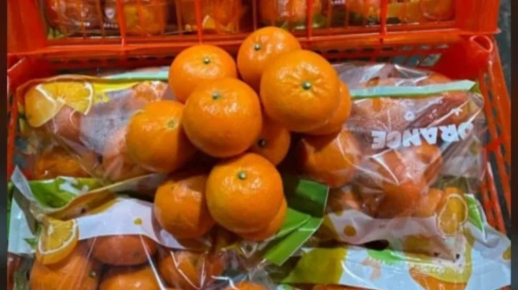 Sensasi Segar Jeruk Wogan di tengah Cuaca Panas