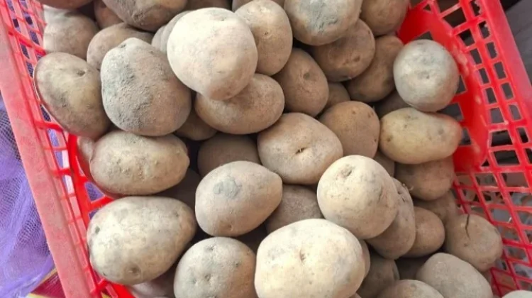 Cara Menyimpan Kentang agar Tahan Lama