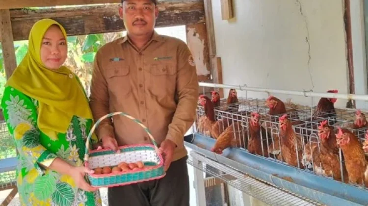 Beternak Ayam Petelur, Karyawan Perhutani Purwodadi Rintis Kemandirian Pangan