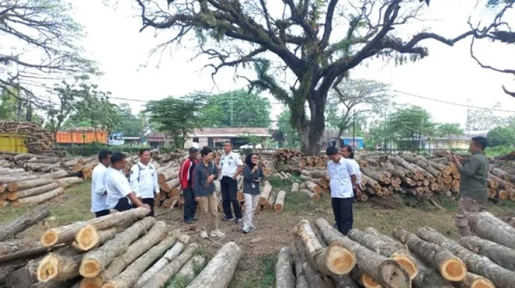 Wujudkan Akuntabilitas, BPHL Wilayah VIII Audit Dokumen Produksi KPH Purwodadi