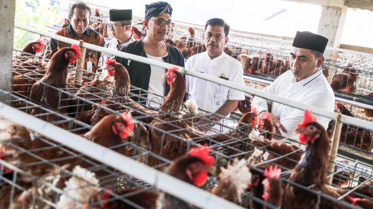 Wagub Ajak OPD Tiru Desa Kranggan Klaten, Sukses Kembangkan Potensi Daerah