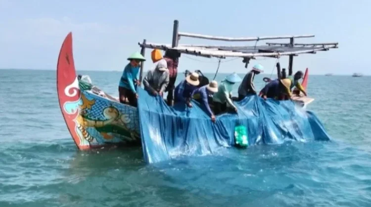 Ekspor Ikan Teri Nasi Binaan Undip Perkuat Ekonomi Warga Pesisir