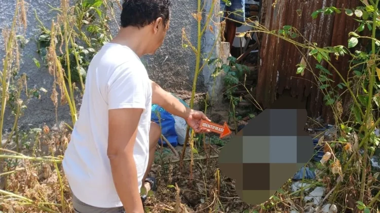 Polisi Selidiki Penemuan Jenazah Lansia di Semak Desa Sidoharjo Pati