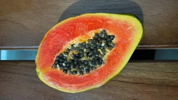 Manfaat Buah Pepaya untuk Kesehatan Tubuh