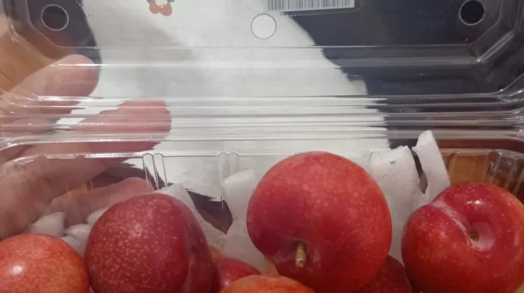 Jaga Kekebalan Tubuh lewat Kelezatan Alami Buah Plum