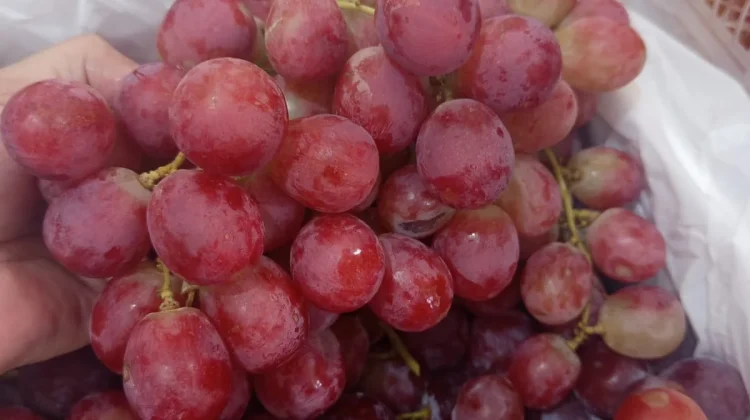 Anggur Red Ausi, Manis Berkualitas Kaya Nutrisi