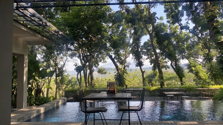 Teduhnya Ruang Hijau di Ella Kitchen and Garden